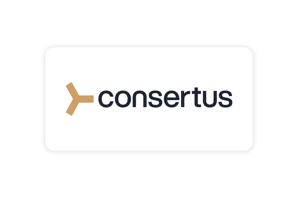 Consertus | Car Magnet 24"x 12"